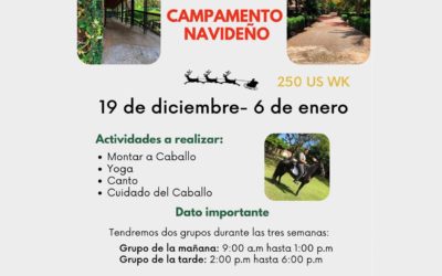 Campamento de Navidad